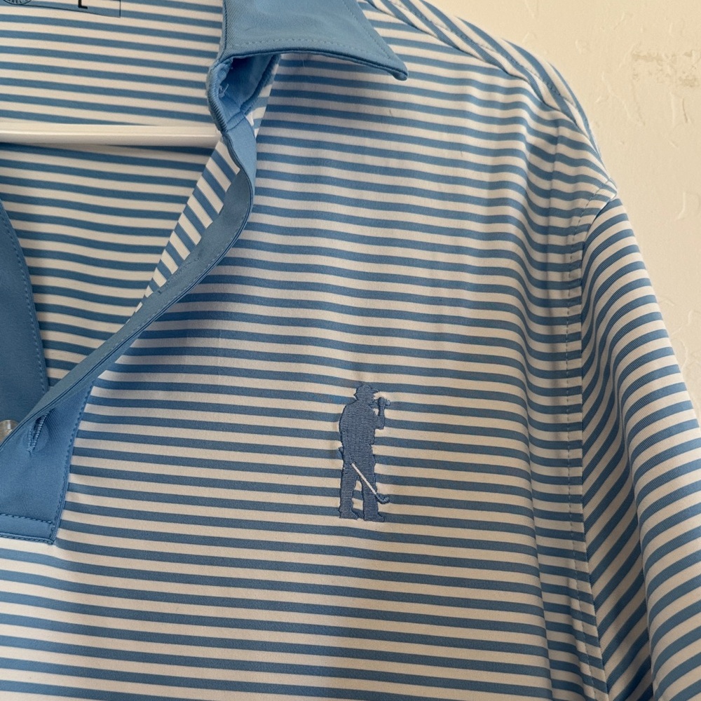 Classic Blue Striped Polo Shirt - Picture 2 of 5